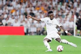 得不到应有 得不到应有