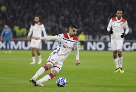 中的蜂王 中的蜂王