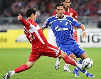 献了一个关 献了一个关